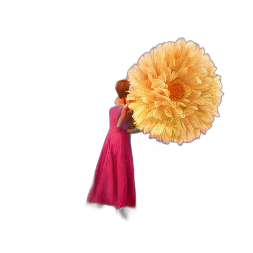 flower, umbrella, hat, hair transparent PNG cut-out