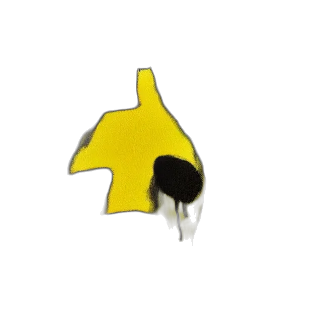 hat, umbrella, crown, flower transparent PNG cut-out