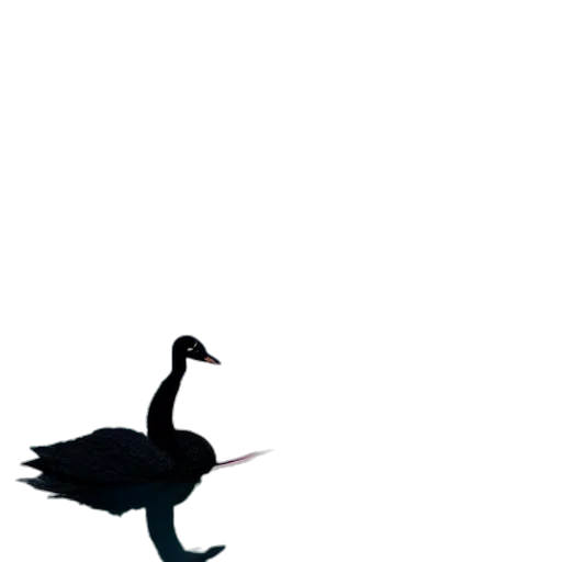 animal, creature, staff, umbrella transparent PNG cut-out