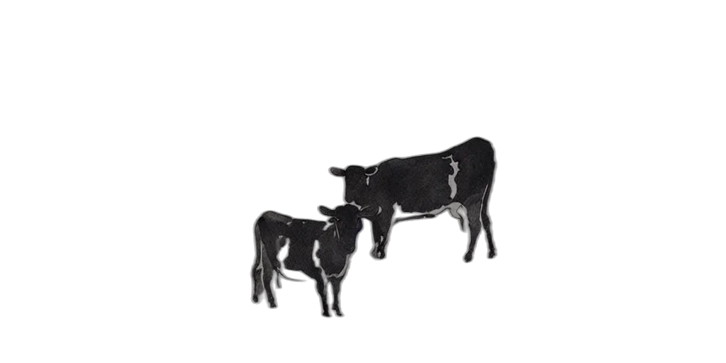 animal, food, jewelry, furniture transparent PNG cut-out