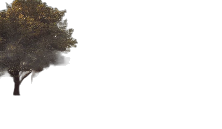 tree, dragon, hair, dress transparent PNG cut-out