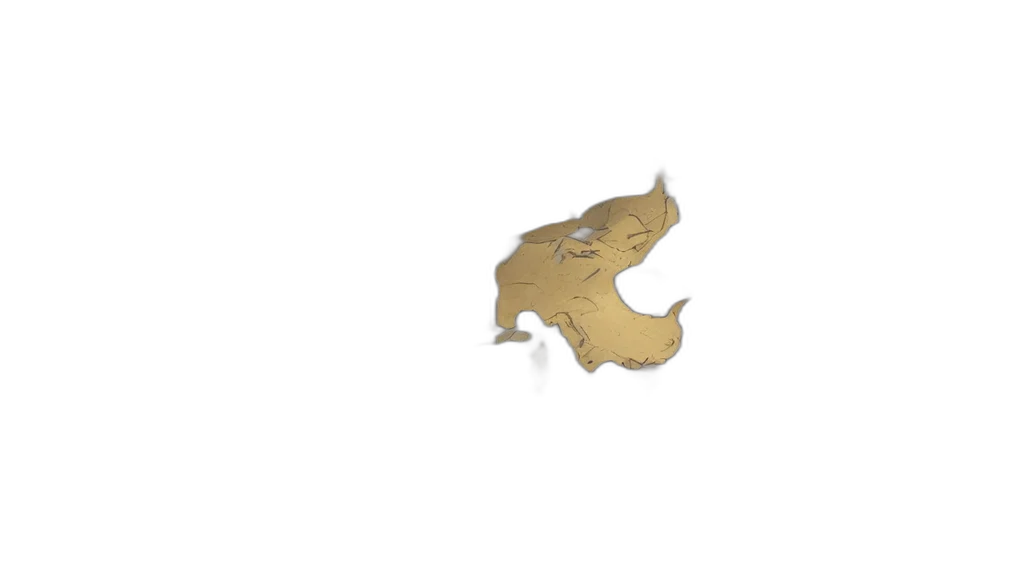 dragon, animal, hair, crown transparent PNG cut-out