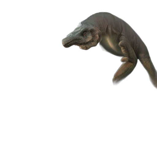 creature, animal, dragon, staff transparent PNG cut-out
