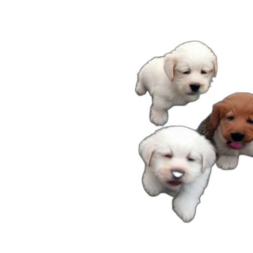 animal, creature, staff, 3d render transparent PNG cut-out
