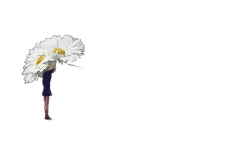 flower, umbrella, crown, hair transparent PNG cut-out