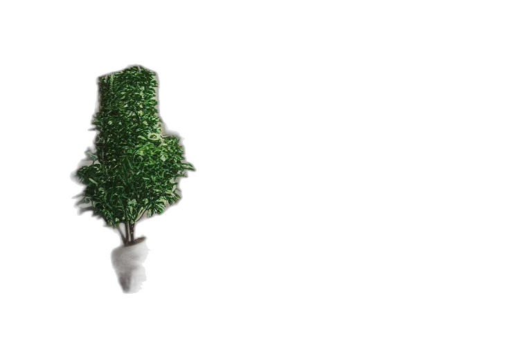 tree, crown, bottle, hat transparent PNG cut-out