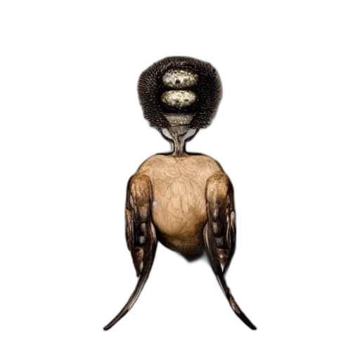 hair, staff, creature, mask transparent PNG cut-out