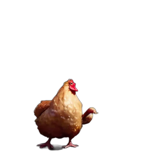 animal, creature, food, dress transparent PNG cut-out