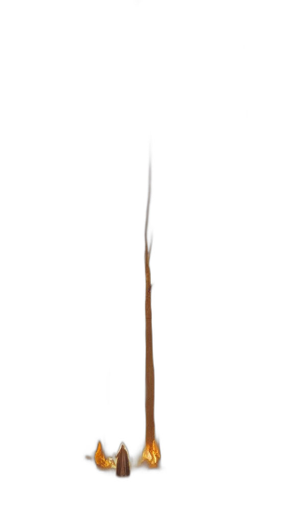 staff, sword, weapon, hair transparent PNG cut-out