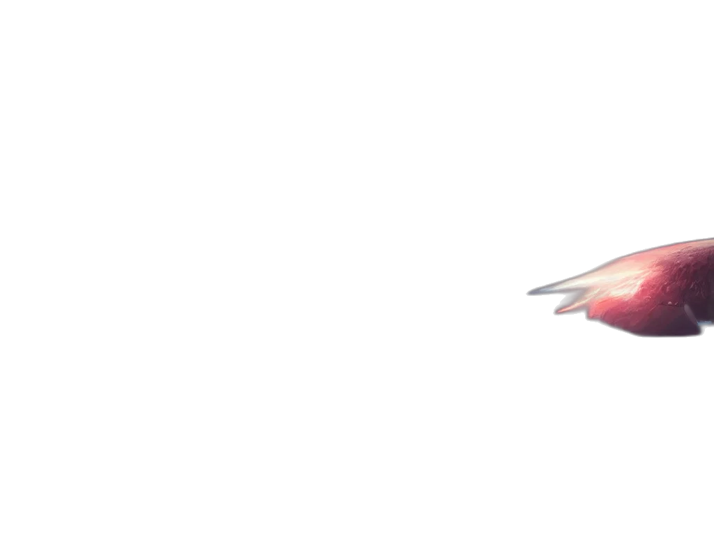 weapon, staff, sword, umbrella transparent PNG cut-out