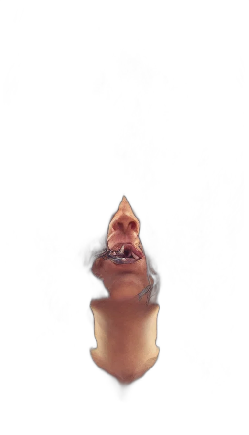 face, mask, staff, creature transparent PNG cut-out