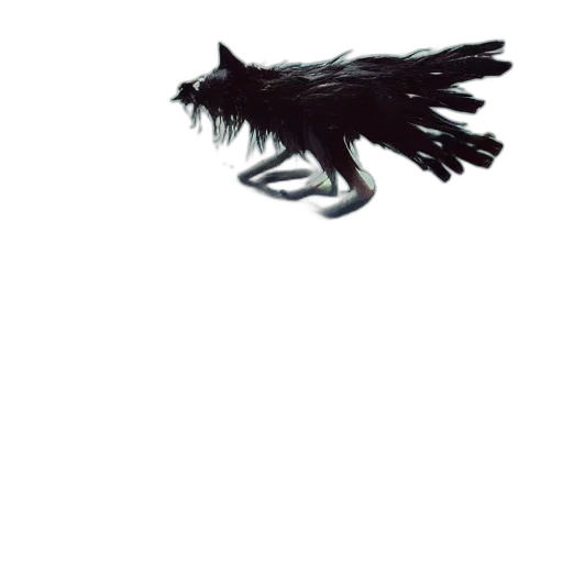 dragon, creature, animal, hair transparent PNG cut-out