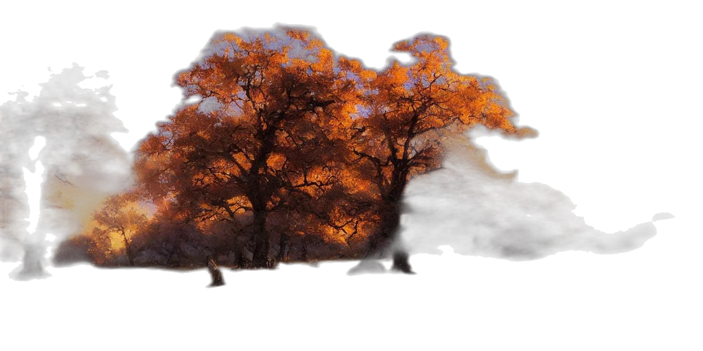 tree, dragon, hair, animal transparent PNG cut-out