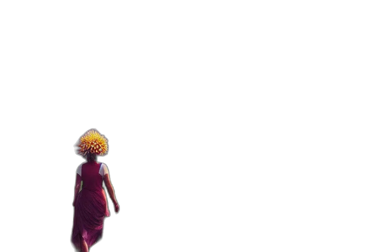 dress, hat, mask, umbrella transparent PNG cut-out