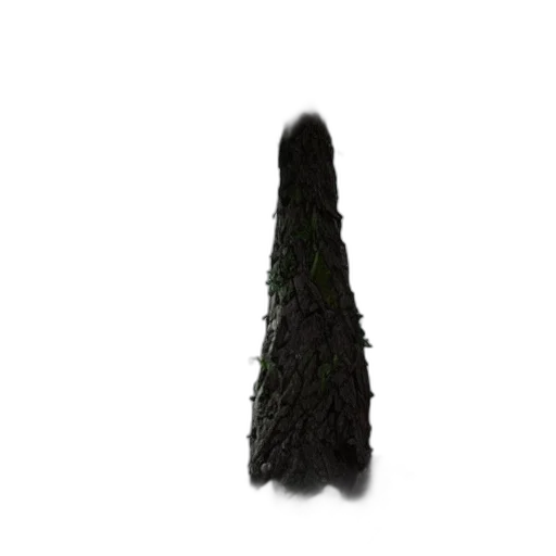 hair, tree, hat, crown transparent PNG cut-out