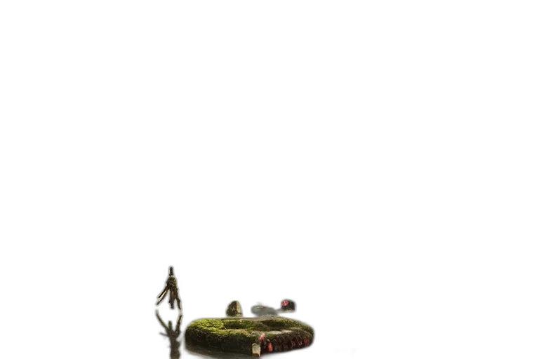 shoes, weapon, furniture, staff transparent PNG cut-out