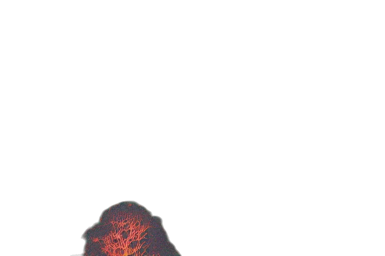 mask, hair, crown, face transparent PNG cut-out