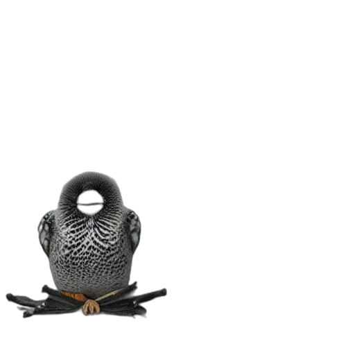 jewelry, robot, animal, mask transparent PNG cut-out