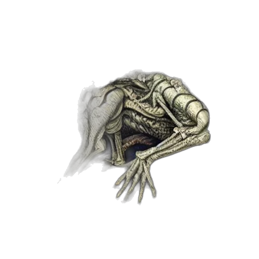 creature, mask, dragon, face transparent PNG cut-out