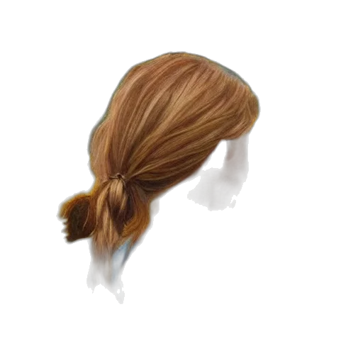 hair, hat, crown, staff transparent PNG cut-out