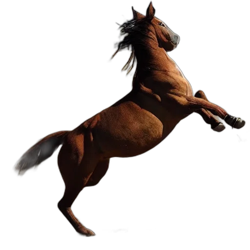 animal, creature, hair, staff transparent PNG cut-out