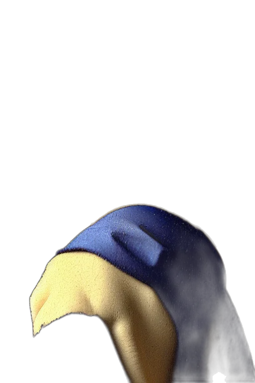 hat, mask, face, crown transparent PNG cut-out