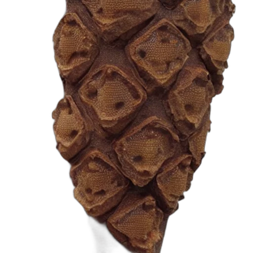 food, umbrella, crown, staff transparent PNG cut-out