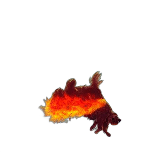 dragon, hair, creature, animal transparent PNG cut-out