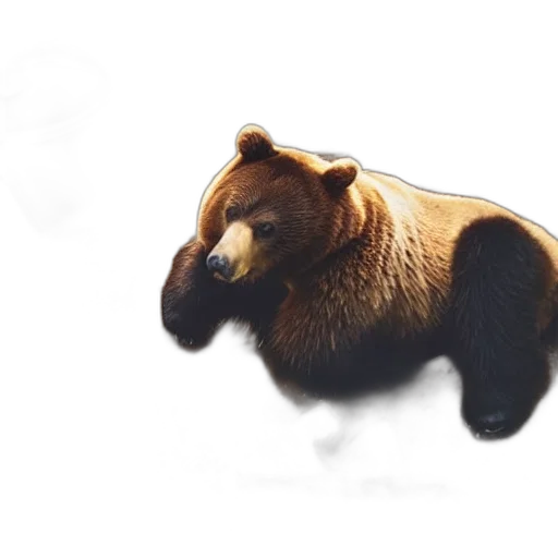 animal, creature, concept art, photorealistic transparent PNG cut-out