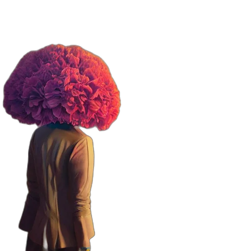 hat, flower, umbrella, hair transparent PNG cut-out