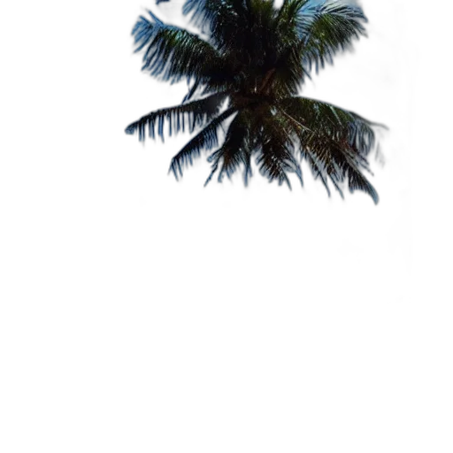 tree, umbrella, hair, hat transparent PNG cut-out