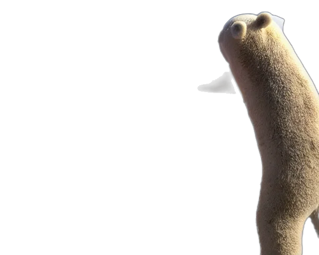 animal, creature, staff, hair transparent PNG cut-out