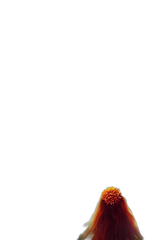 hat, food, flower, crown transparent PNG cut-out