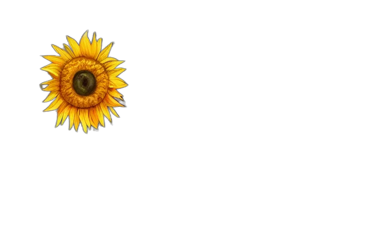 flower, crown, umbrella, jewelry transparent PNG cut-out