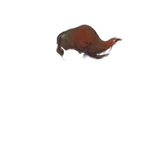 animal, creature, hat, hair transparent PNG cut-out
