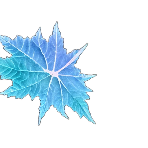 flower, crown, dragon, jewelry transparent PNG cut-out