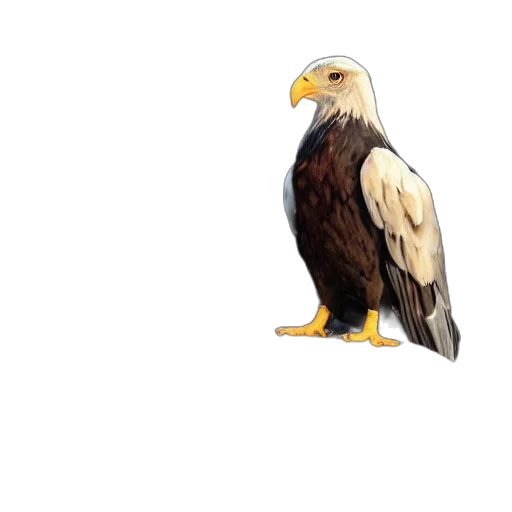 animal, creature, weapon, staff transparent PNG cut-out