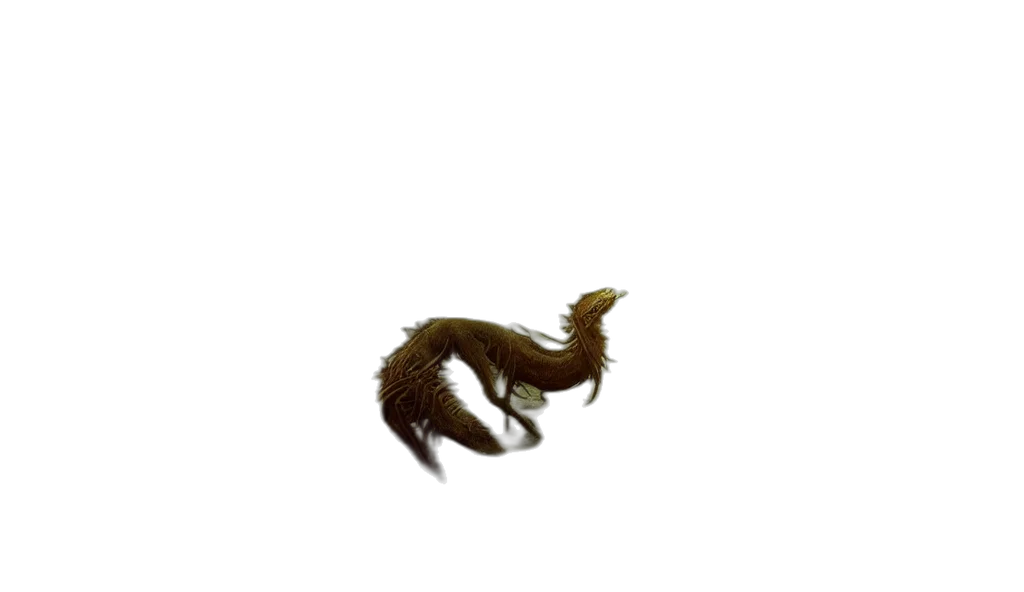 creature, dragon, animal, hair transparent PNG cut-out