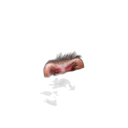 face, mask, creature, hair transparent PNG cut-out