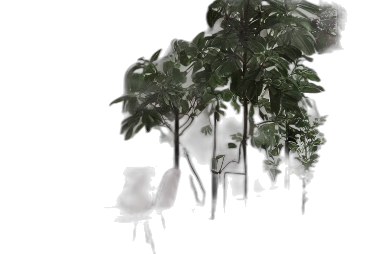 tree, furniture, umbrella, 3d render transparent PNG cut-out
