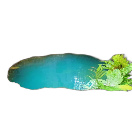 shoes, bottle, food, weapon transparent PNG cut-out