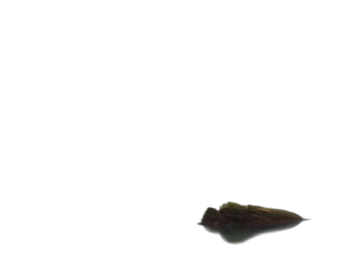 shoes, staff, weapon, hat transparent PNG cut-out