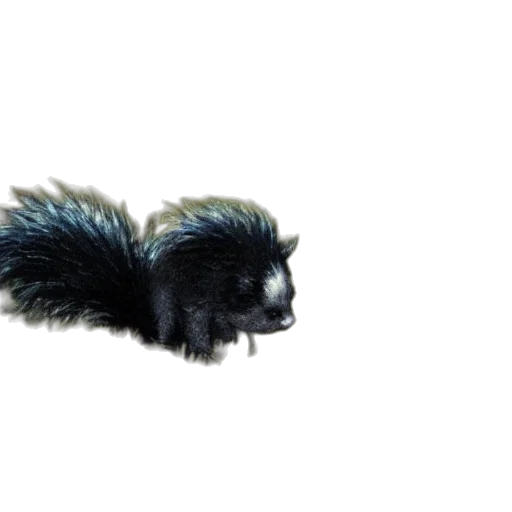 animal, hair, creature, dragon transparent PNG cut-out