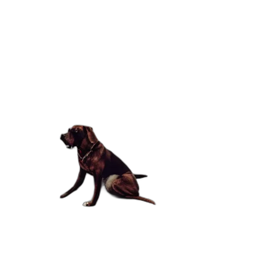 animal, staff, creature, pixel art transparent PNG cut-out