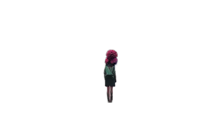 dress, jacket, hat, hair transparent PNG cut-out