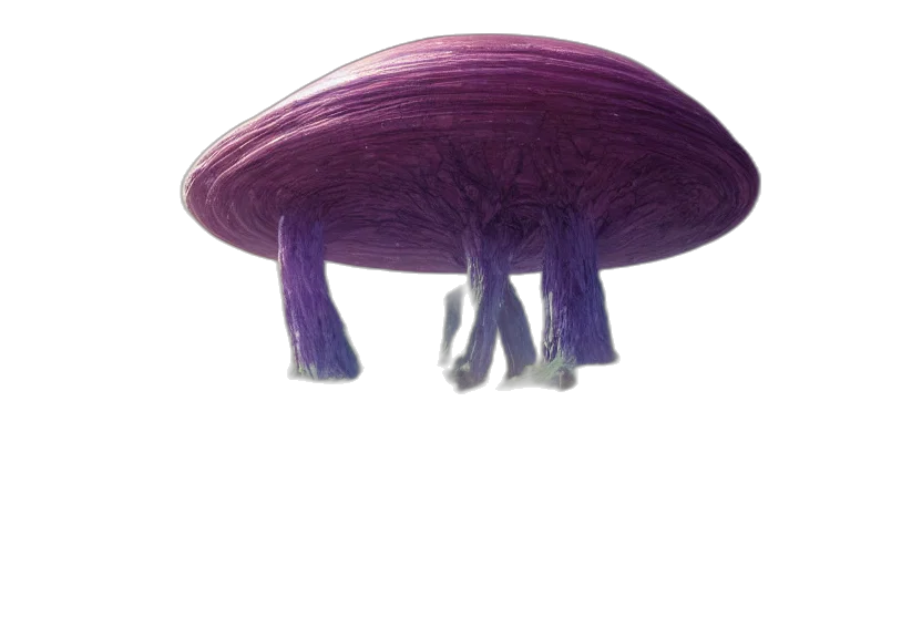 hat, umbrella, hair, crown transparent PNG cut-out