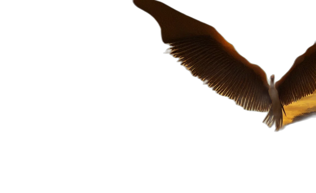 animal, hair, staff, creature transparent PNG cut-out