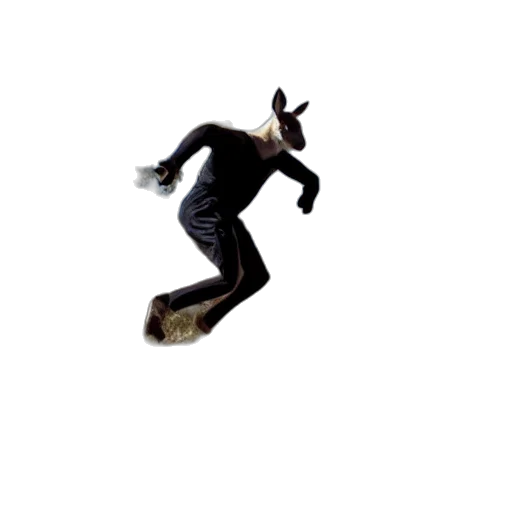 animal, creature, dragon, shoes transparent PNG cut-out