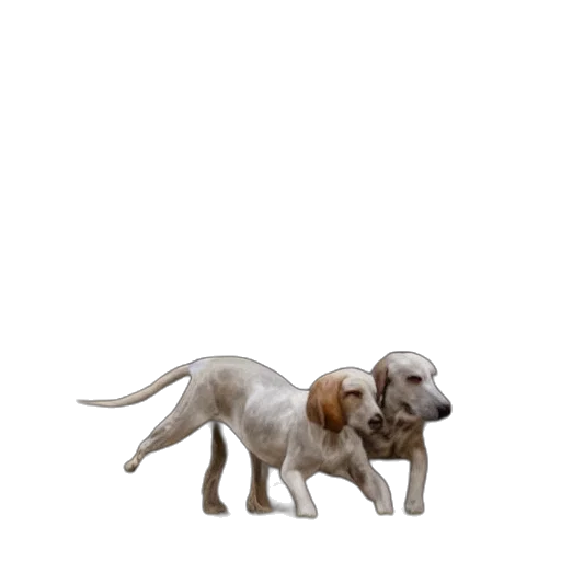 animal, staff, creature, weapon transparent PNG cut-out