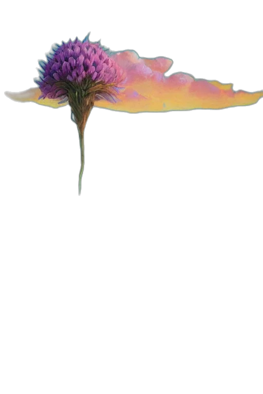 flower, crown, hair, umbrella transparent PNG cut-out